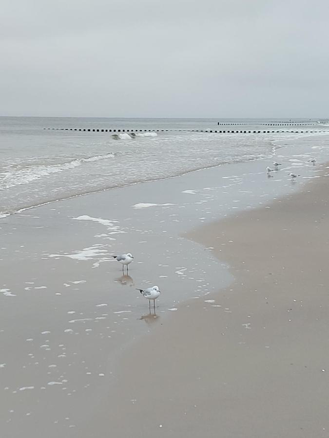 Achterwasser Blick Ückeritz Buitenkant foto