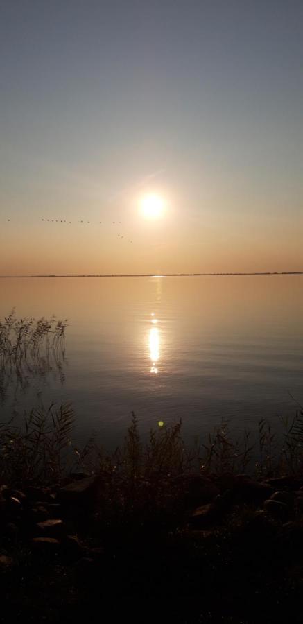 Achterwasser Blick Ückeritz Buitenkant foto